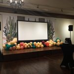 144 inch projection screen and sound system